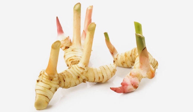 Riềng củ tươi - đông lanh 250 g ガランガル