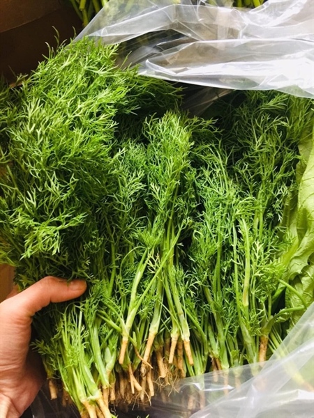 RAU THÌ LÀ /ディル