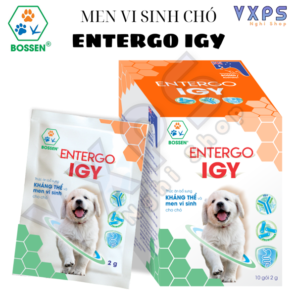 Men Entergo IGY