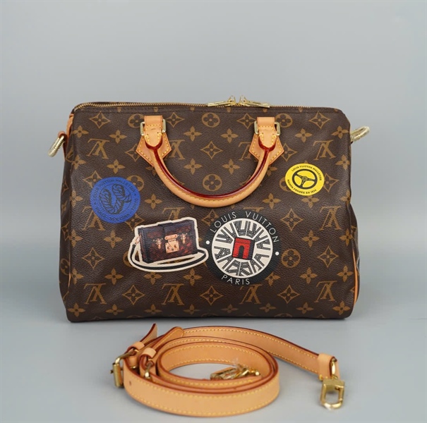 Túi LV Speedy hoa nâu in hình kèm ổ+ chìa sz30 (HC)+