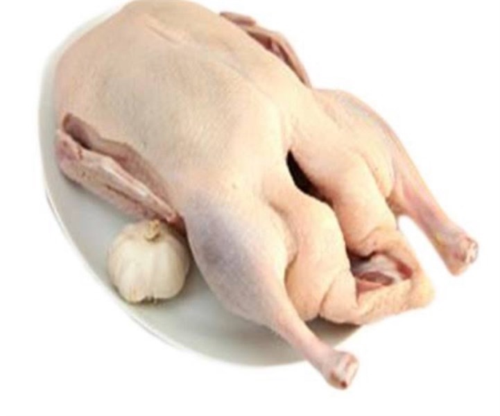 Vịt không đầu 1.6-1.7