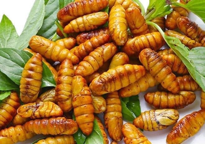 Nhộng tằm đông lạnh/500g