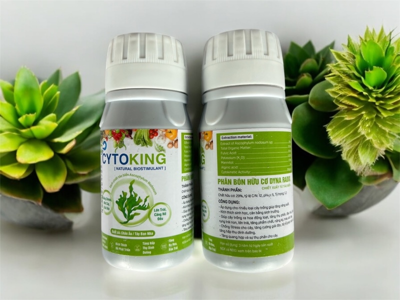 CYTOKING (AGRINO)