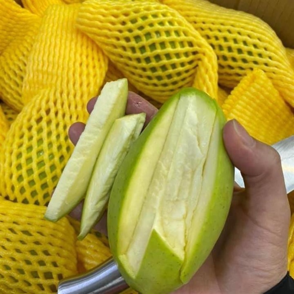 XOÀI CÁT CHU マンゴー 🥭KHĐ