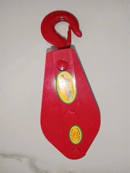 RỒNG RỌC ĐỎ