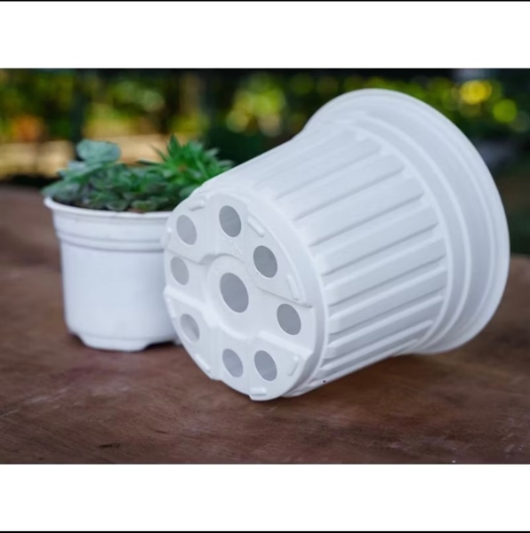 Chậu TTK 2 tấc 3 (trắng)