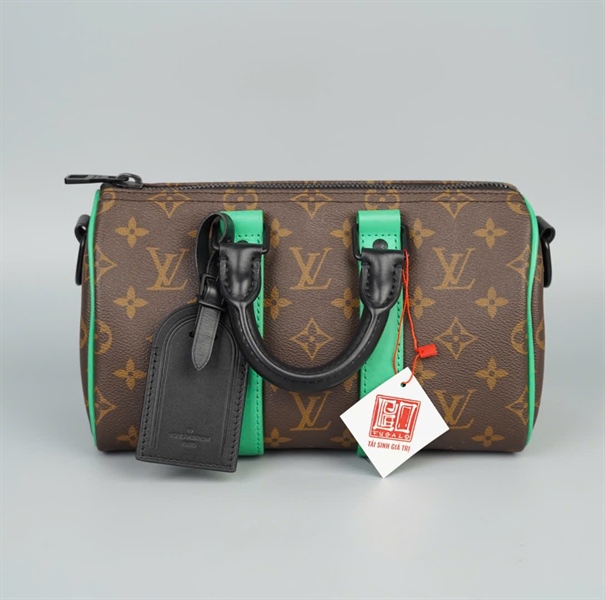 Túi LV Speedy hoa nâu sọc xanh sz24 +