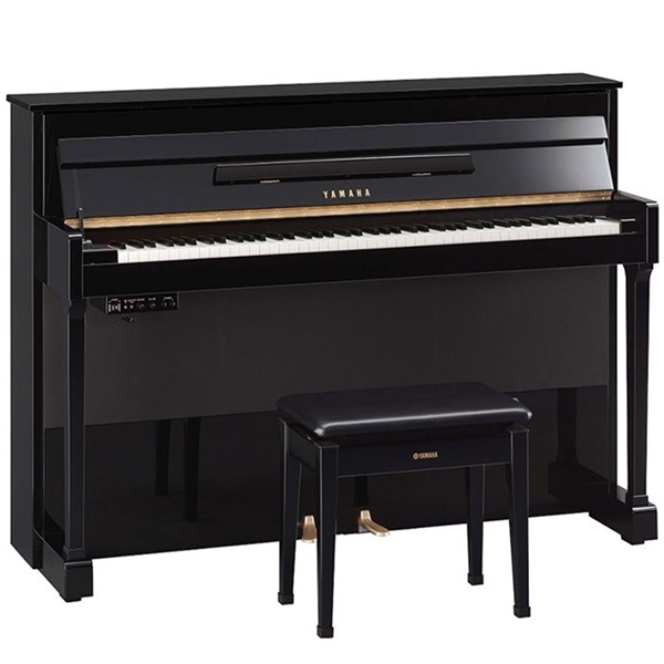 Đàn Piano Điện Yamaha DUP1, Black