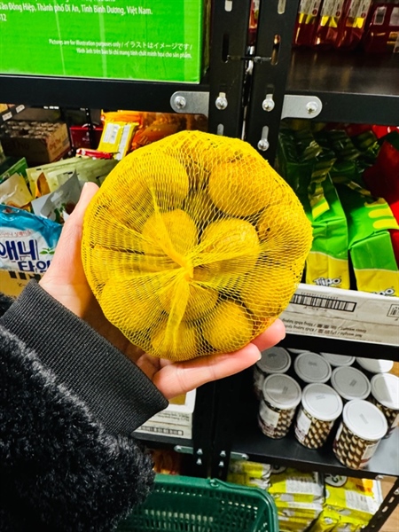 Nhãn Đông lạnh KOME/冷凍ロンガン 500g