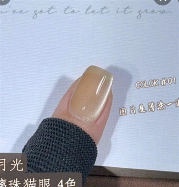 Mắt mèo số 1