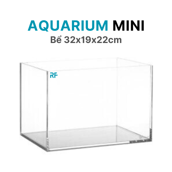 Bể 32x19x22cm