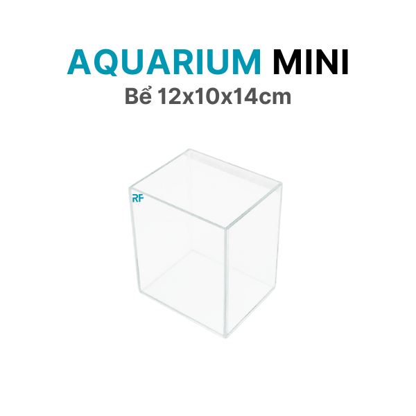 Bể 12x10x14cm