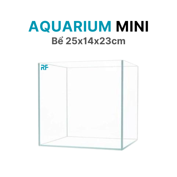 Bể 25x14x23cm