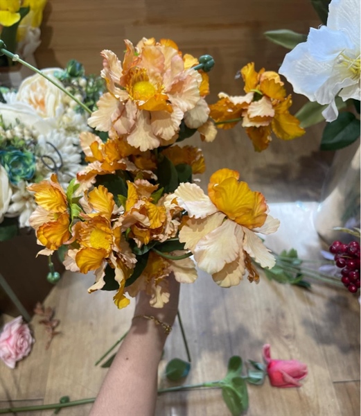 HOA CÚC MẪU ĐƠN