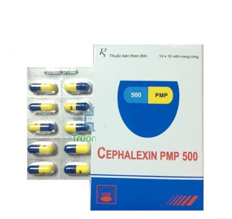 Cephalexin pmp 500mg pymepharco (H/100V)