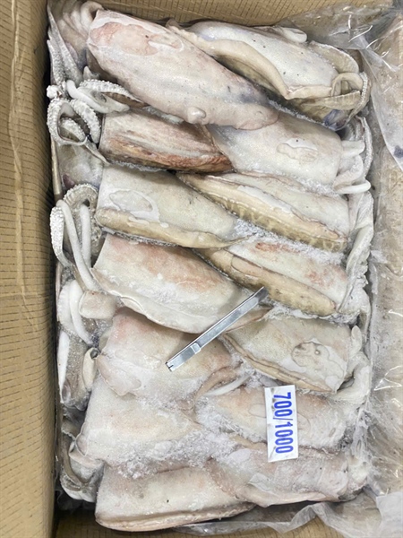 Mực nang 700-1000G 12kg