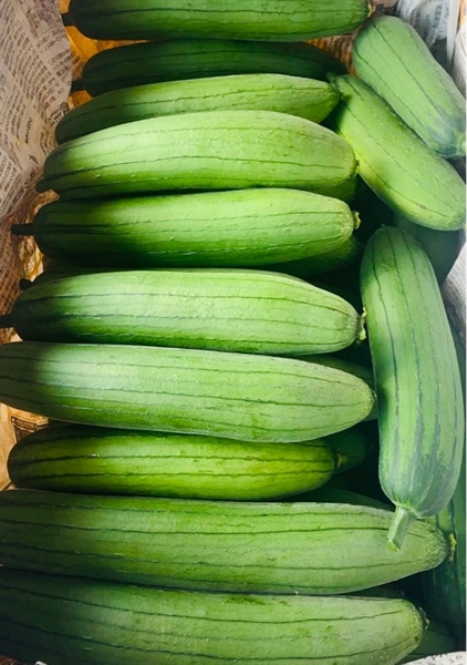 MƯỚP HƯƠNG/ ヘチマ