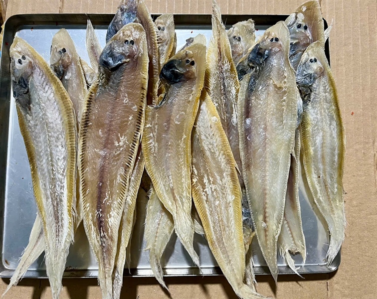 KHÔ LƯỠI CHÂU NHỎ