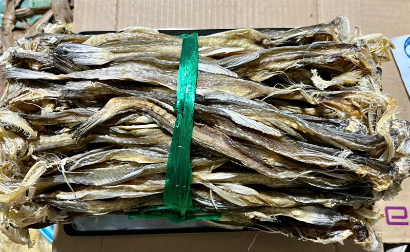 KHÔ CÁ KHOAI TRUNG