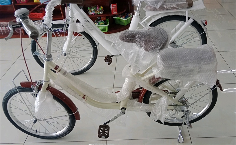 XE ĐẠP TAIK VÀNG