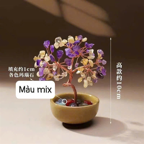 CÂY PHÁT TÀI 020225