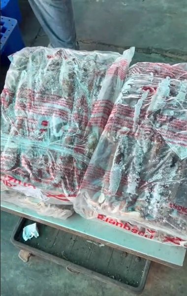 MỰC ỐNG ATHENTINA 200/300G