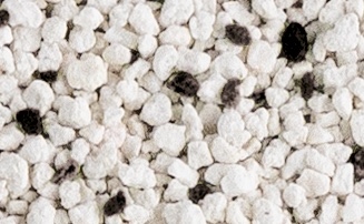 Cát vệ sinh cho mèo procat than hoạt tính 18L 15,3kg