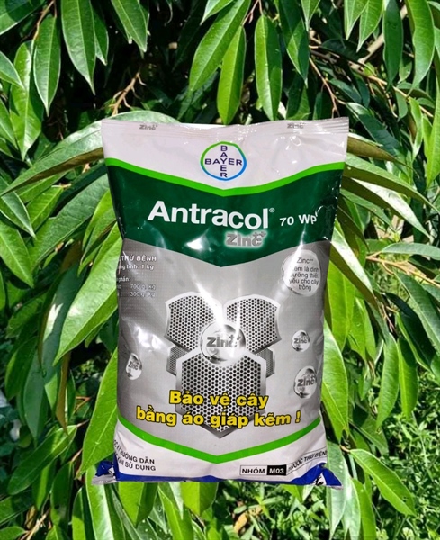 ANTRACOL 70