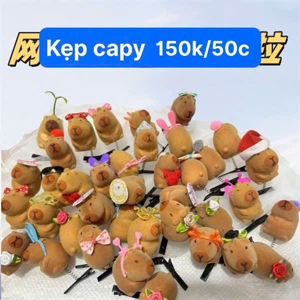 Kẹp tóc capy-150k/50