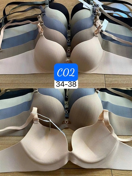 C02- áo đúc định hình