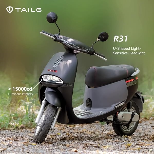 XE MÁY ĐIỆN GOGO R31 TAILG