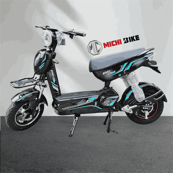 XE ĐIỆN FASTGO MICHI BIKE