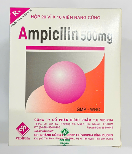 Ampicilin 500mg vidipha (h/200v)