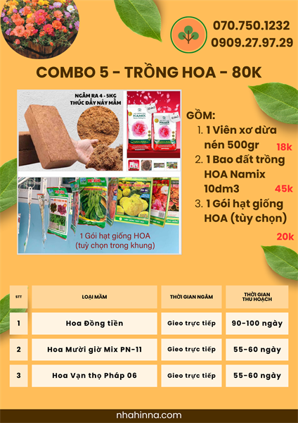Combo 5 - TRỒNG HOA - 80k