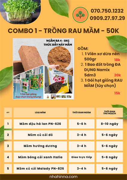 Combo 1 - TRỒNG RAU MẦM - 50k
