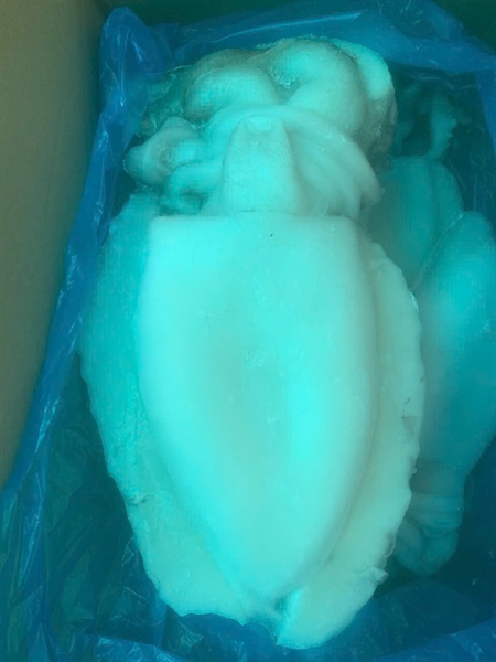 MỰC NANG 1000 UP ẤN ĐỘ LS 10KG