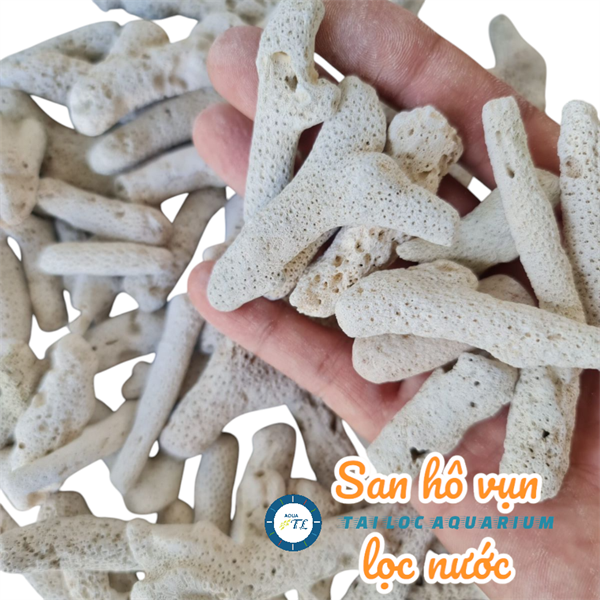 Vật liệu lọc nước: Vụn san hô (1kg) - chuyên dụng cho hồ cá, bể cá cảnh, bể thủy sinh, bể nước mặn