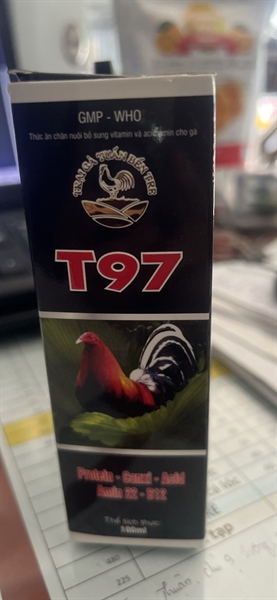 T97 Sâm 100ml