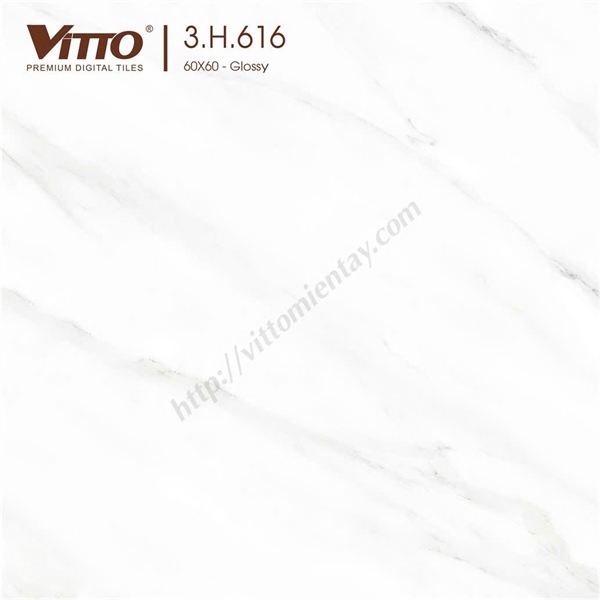 Gạch 60x60 00616