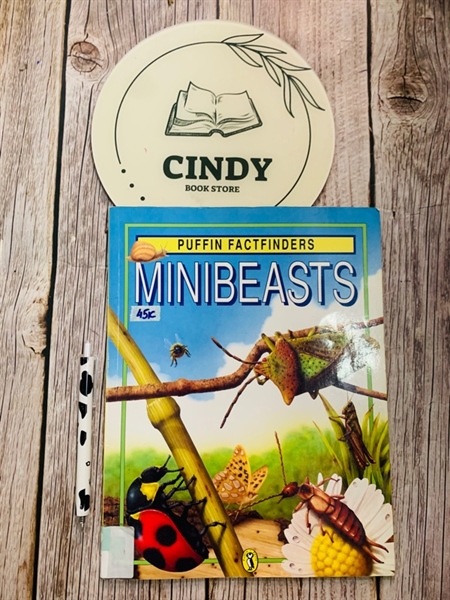 Minibeasts