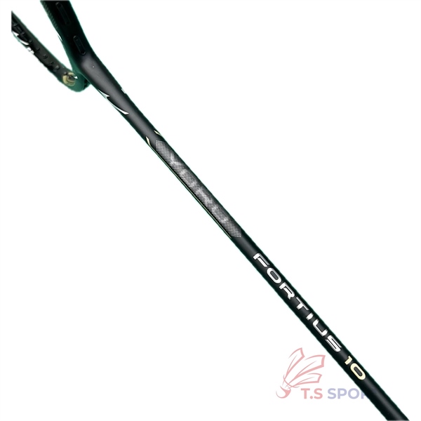 Vợt cầu lông Mizuno Fortius 10