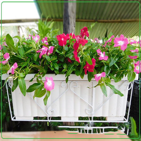 Khay Nhựa Dài 63X22X19 cm