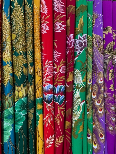 VL vẽ kết con công