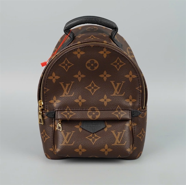 Balo LV Palm Springs Mini hoa nâu 2 strap sz16 (BQ) KG+