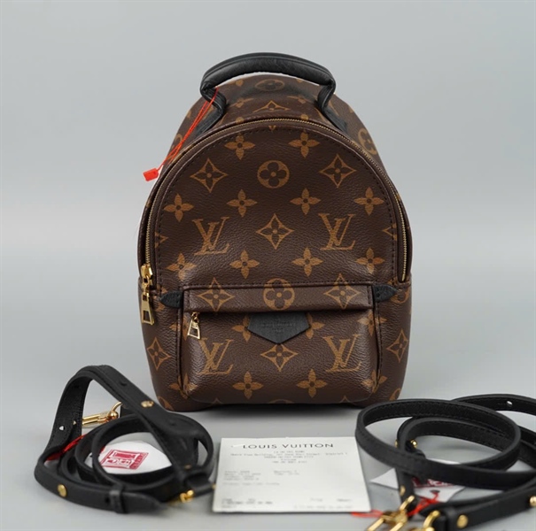 Balo LV Palm Springs Mini hoa nâu 2 strap sz16 (BQ) KG+