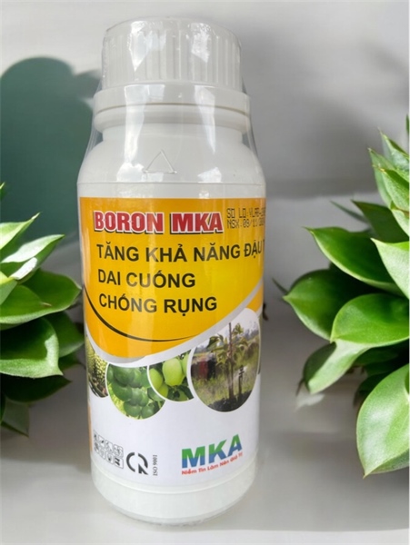 BORON MKA