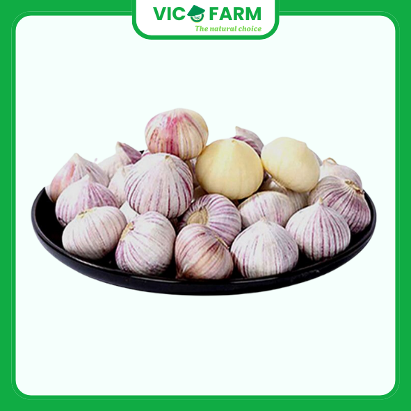 Tỏi Cô Đơn