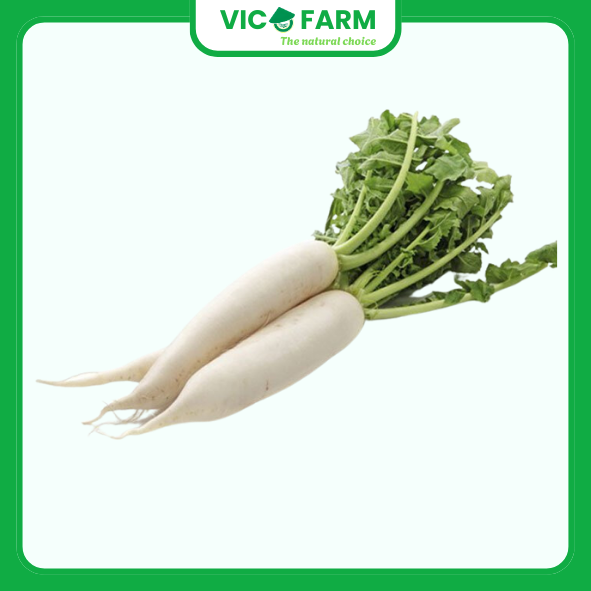 Củ Cải Trắng 500gr