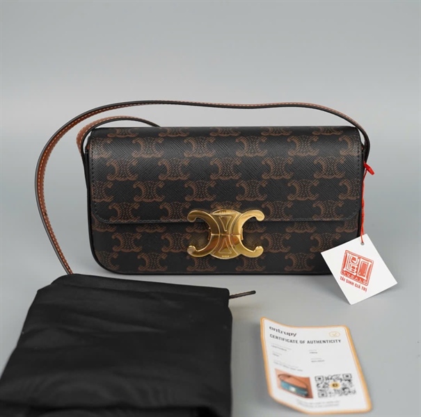 Túi Celine Triomphe nâu chữ nhật (S-CU-2242) (A-T) sz20 KG+