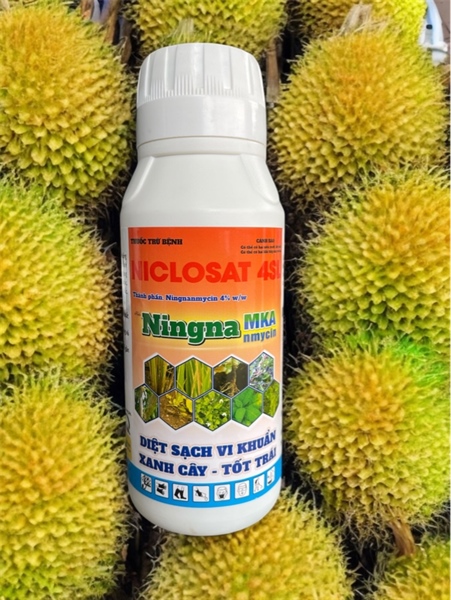 NICLOSAT 4SL (NINGNA MKA)